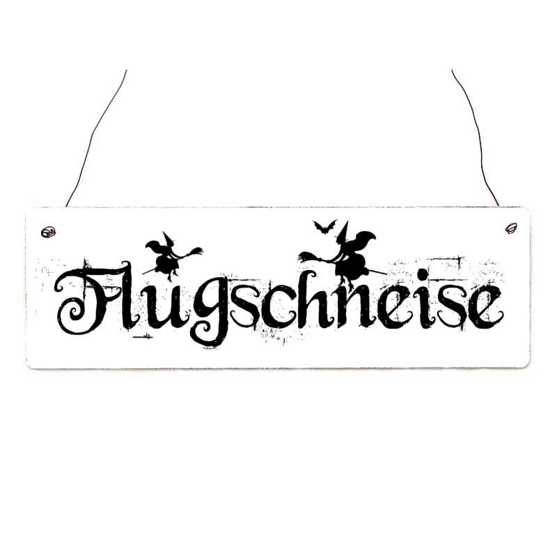 Shabby Vintage Schild T&uuml;rschild FLUGSCHNEISE Hexe Gothic Halloween Holzschild