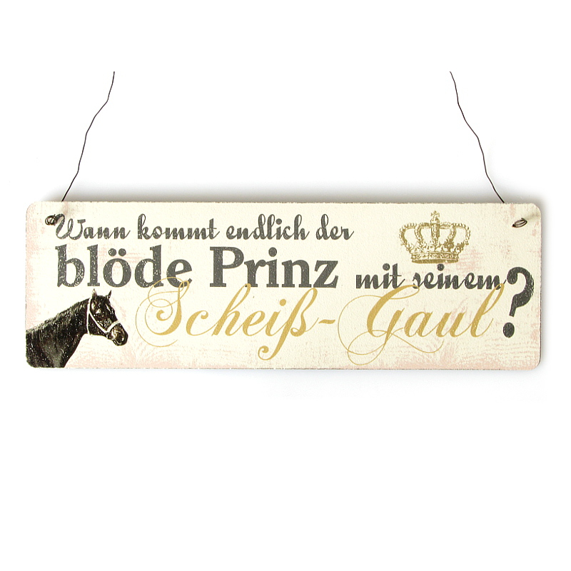 Shabby Vintage Schild Türschild WANN KOMMT ENDLICH DER BLÖDE PRINZ MIT SEINEM