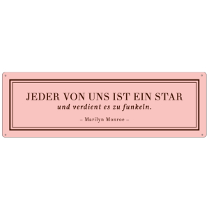 METALLSCHILD Blechschild JEDER VON UNS IST EIN STAR...