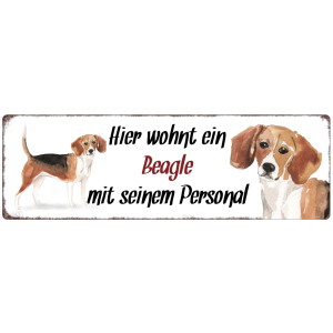 Interluxe Metallschild - Hier wohnt ein Beagle -...