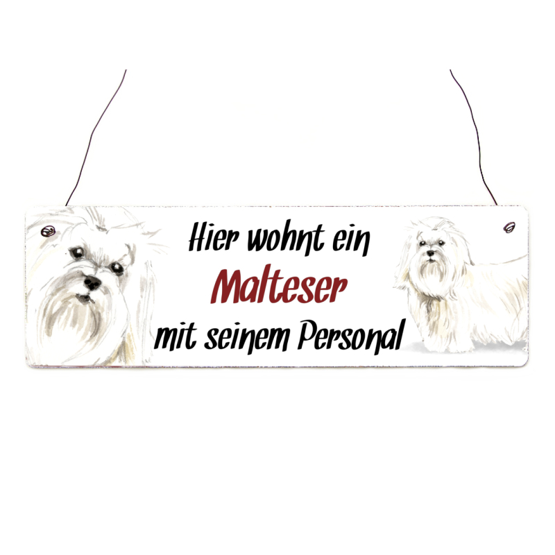 Interluxe Holzschild - Hier wohnt ein Malteser - Türschild, Dekoschild, Warnschild als Geschenk für Menschen mit Hund