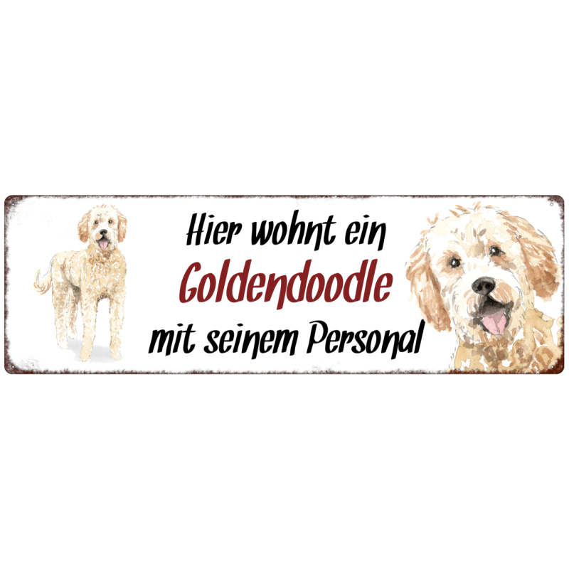 Interluxe Metallschild - Hier wohnt ein Goldendoodle - dekoratives Schild, Türschild, Blechschild als Geschenk für Menschen mit Hund