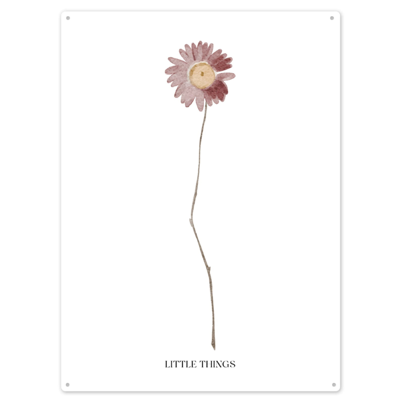 Interluxe 300x220mm Blechschild Wandschild - Little Things - schönes Gartenschild mit Wildblume