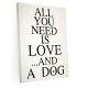 Shabby Bild LEINWAND Keilrahmen ALL YOU NEED IS LOVE AND A DOG Geschenk Hund