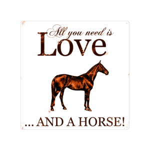 20x20CM METALLSCHILD Blech Dekoschild ALL YOU NEED HORSE Pferd Tier Liebe