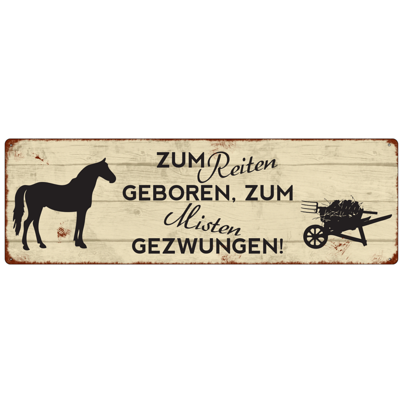 METALLSCHILD Blechschild T&uuml;rschild ZUM REITEN GEBOREN Geschenk Dekoration Pferde